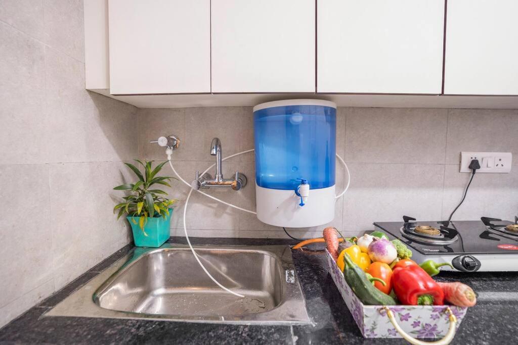 Homlee-basement Flat With Kitchen In Saket, South Delhi * New Delhi